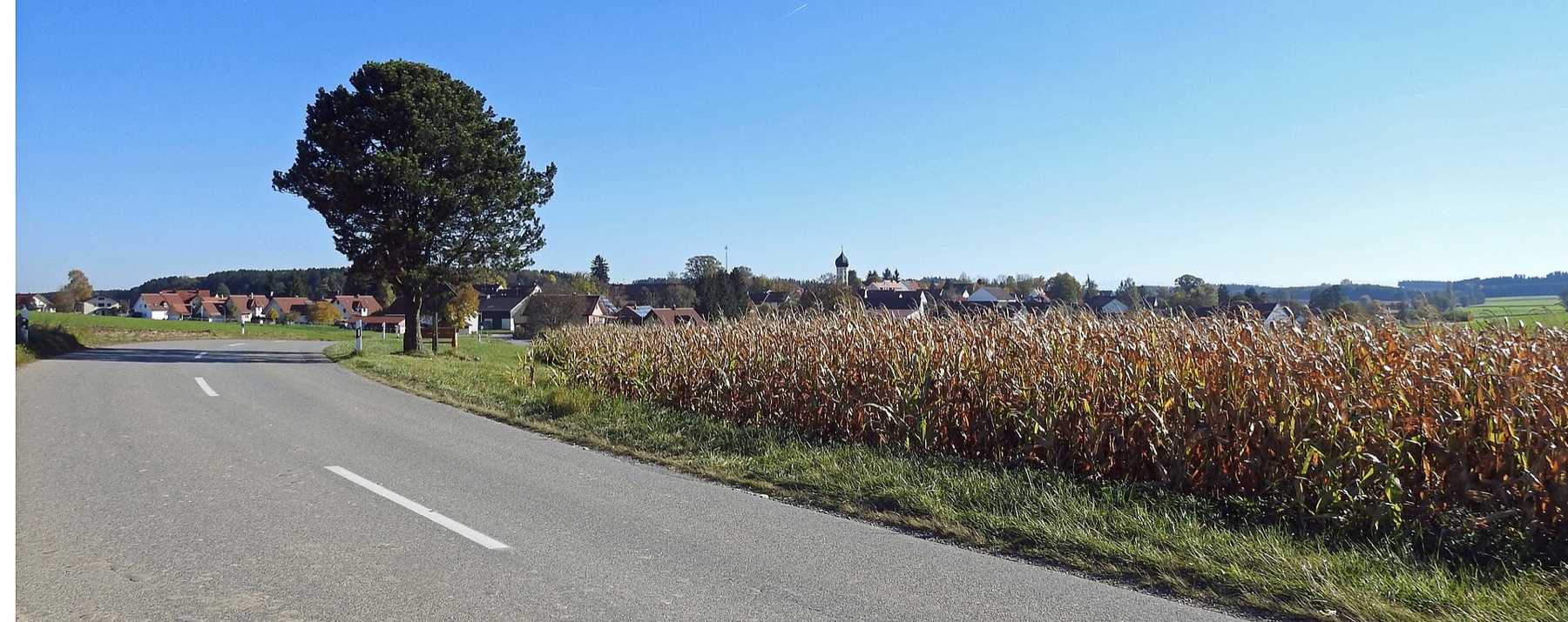 Landstraße bei Steinbach, Gemeinde Moorenweis